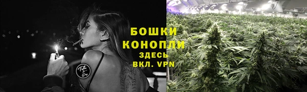 mdpv Белокуриха