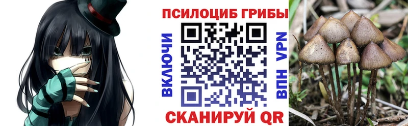 Псилоцибиновые грибы мицелий  Купить где  Геленджик 